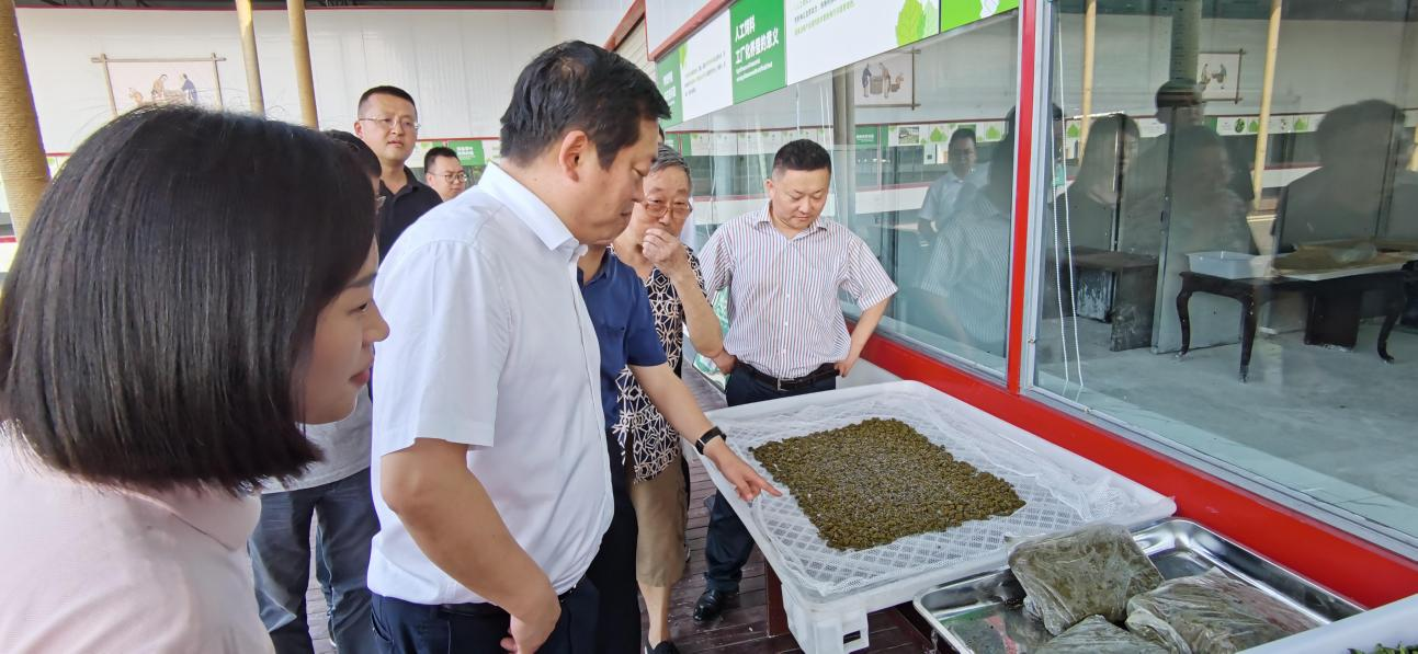 省尊龙凯时集团党委副书记、董事陈日赴嘉陵区调研茶桑产业发展情况